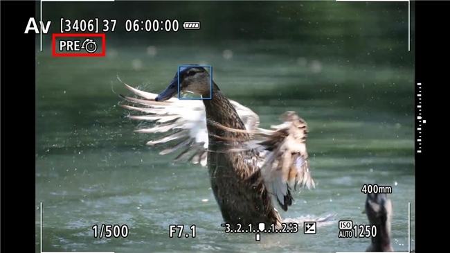 更順手 更可靠 佳能EOS R1 Ver1.1.2固件體驗評測