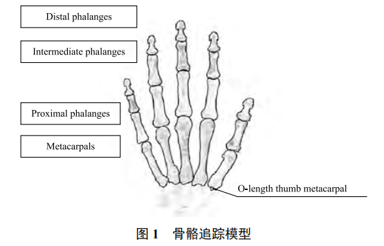 基于 Leap Motion 和卷積神經(jīng)網(wǎng)絡(luò)的手勢(shì)識(shí)別
