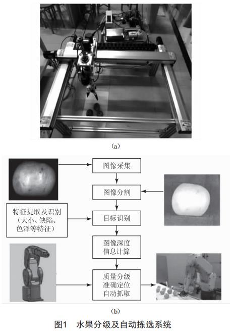 基于機(jī)器視覺(jué)的水果分級(jí)分揀系統(tǒng)關(guān)鍵技術(shù)研究