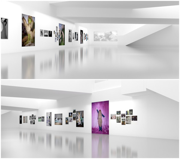 富士X-SPACE瑪格南合作影展reconnect北京悅-美術館展覽現(xiàn)場效果圖