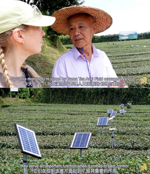 熱門視頻展示八馬茶業(yè)如何通過(guò)新科技煥新中國(guó)茶產(chǎn)業(yè)