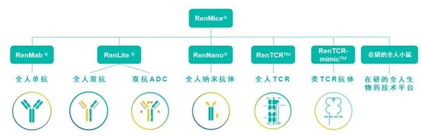 RenMice系列小鼠及應(yīng)用其構(gòu)建的全人抗體/TCR技術(shù)平臺(tái)